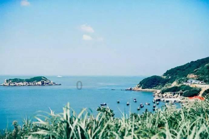向海发展看阳江——沿海行 | 看儒洞:着力打造“蓝色粮仓” 以“红色引擎”推进三产融合发展