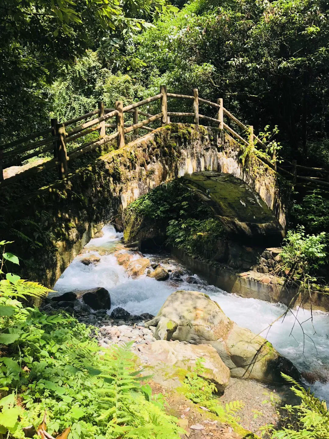狐大医 | 怕冷不想动?卫健委专家教您运动不受冻